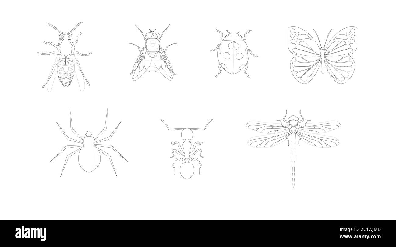 Vettore insetti isolati Back e icone bianche Illustrazione Vettoriale