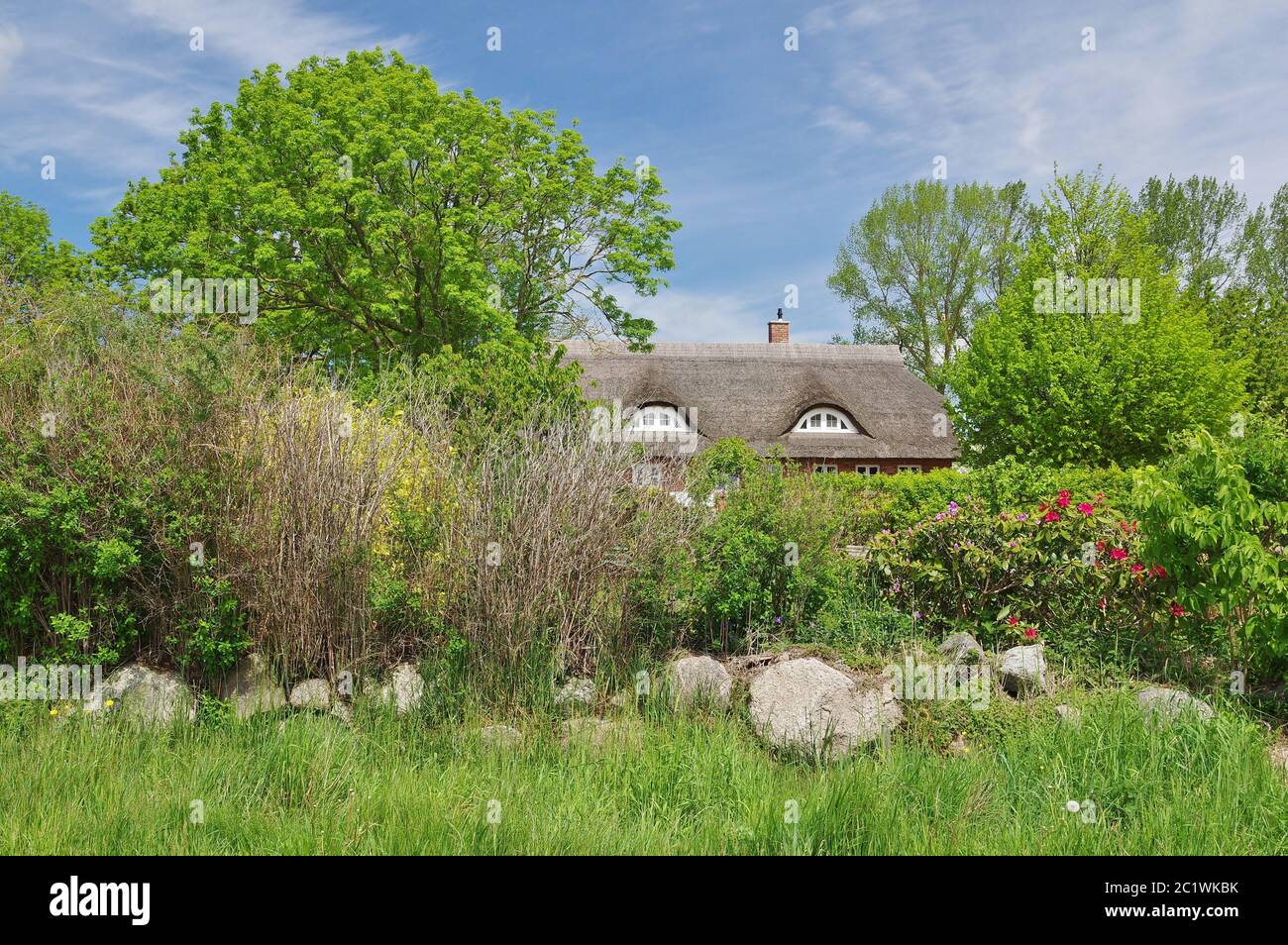 Casa con tetto di paglia, GroÃŸ Stresow, Isola di RÃ¼gen, Germania, Europa occidentale Foto Stock