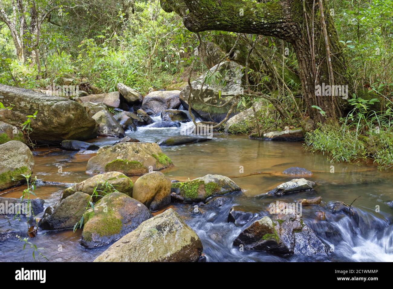 Piccolo fiume con acque limpide che attraversano le rocce Foto Stock