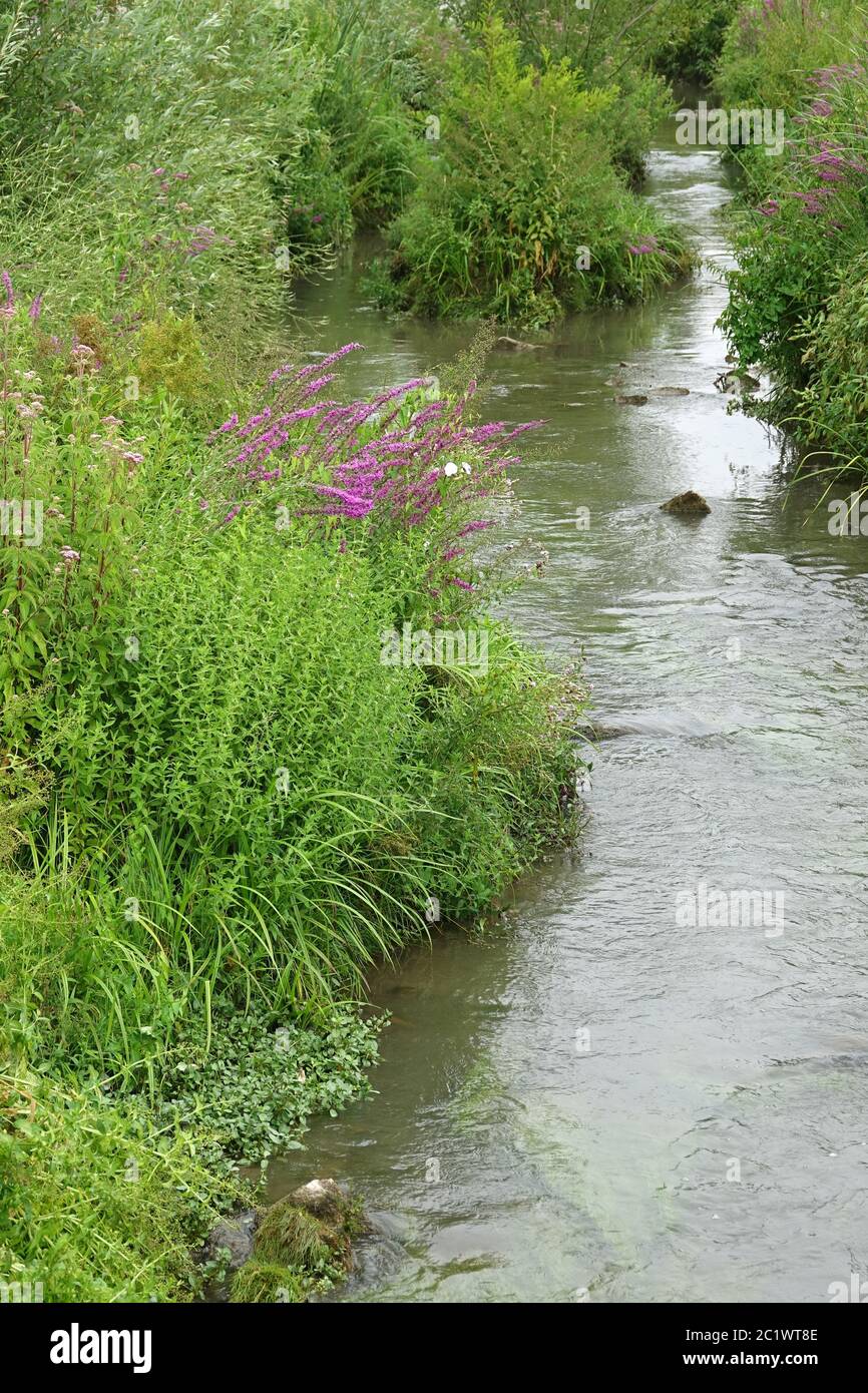 Wiesloch immagini e fotografie stock ad alta risoluzione - Alamy