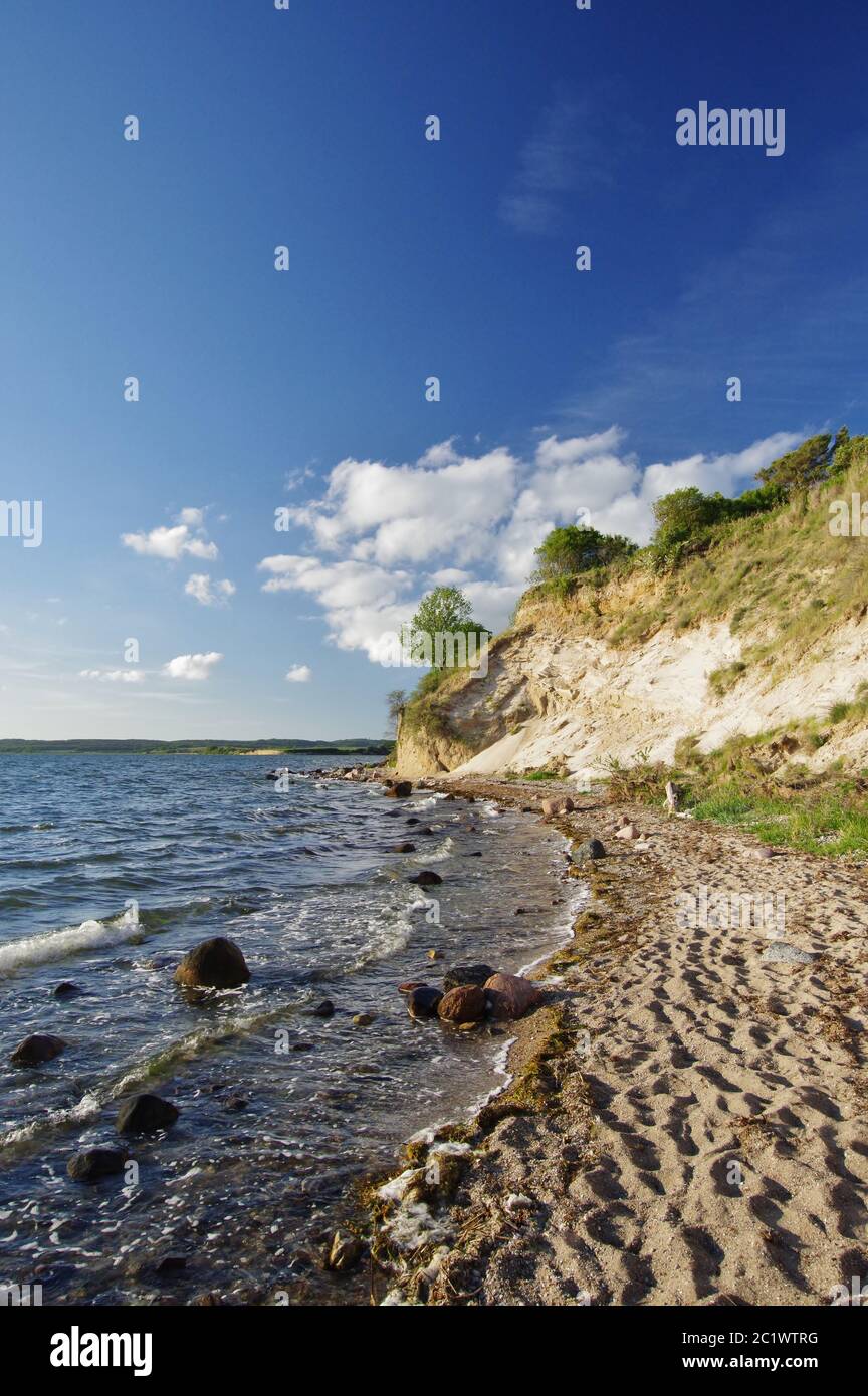 Spiaggia naturale e scogliera, Reddevitzer HÃ¶ft, MÃ¶nchgut, Isola di RÃ¼gen, Meclemburgo-Vorpommern, Germania, Europa occidentale Foto Stock