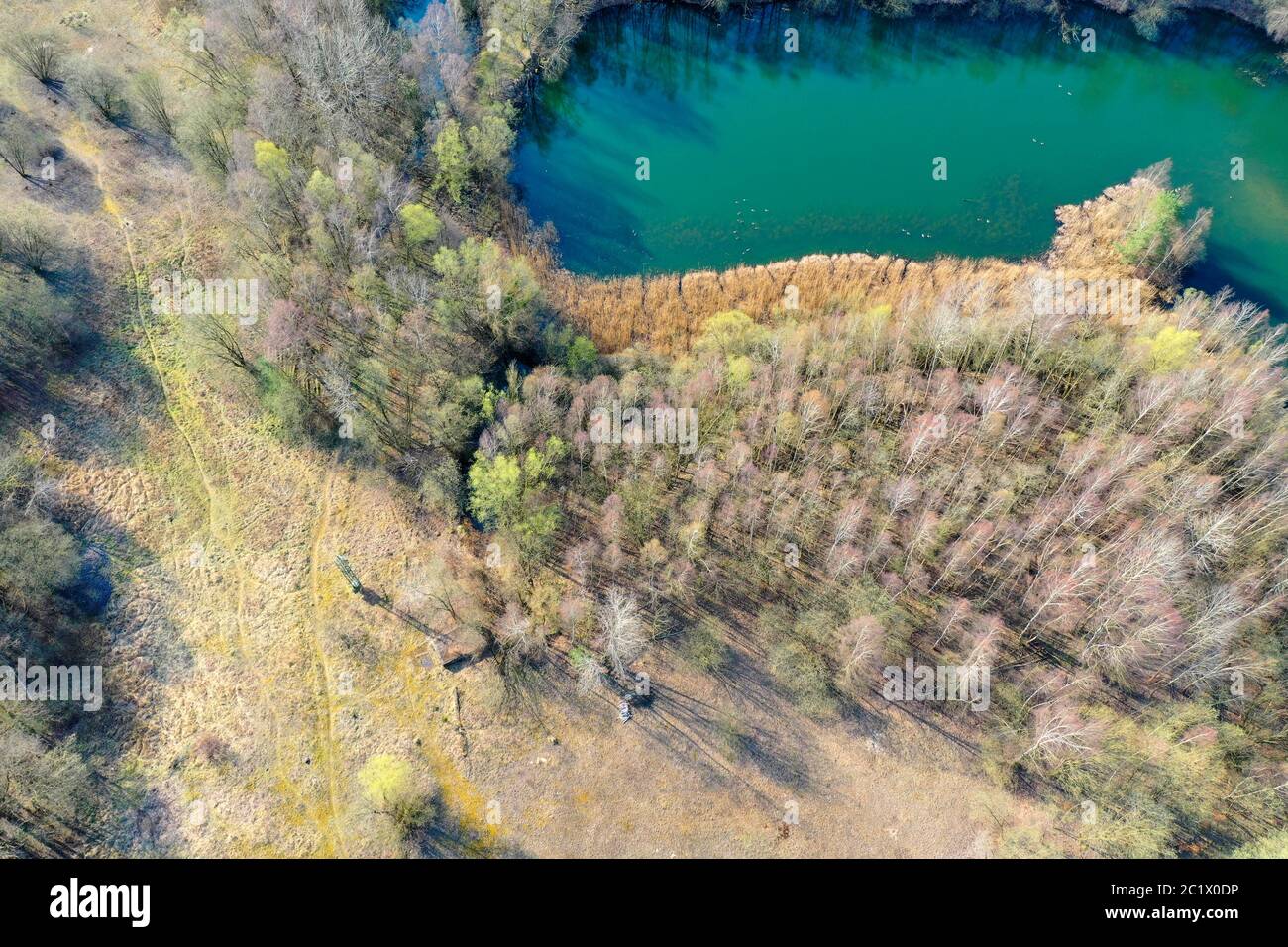 Riserva naturale Moorweiher e dintorni, ex ghiaia, 04/08/2020, vista aerea, Germania, Schleswig-Holstein Foto Stock