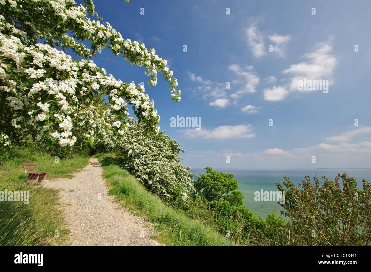 Vista panoramica dal sentiero pedonale sul Mar Baltico, Thiessow, Klein Zicker, MÃ¶nchgut, Isola di RÃ¼gen, Meclemburgo-Vorpommern, Germania, Europa occidentale Foto Stock