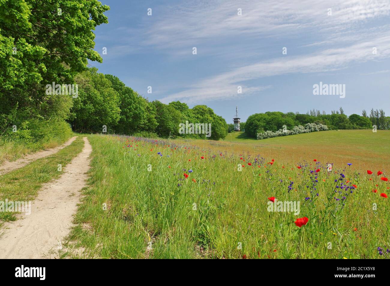 Torre pilota ("Lotsenturm"), Thiessow, MÃ¶nchgut, Isola di RÃ¼gen, Meclemburgo-Vorpommern, Germania, Europa occidentale Foto Stock