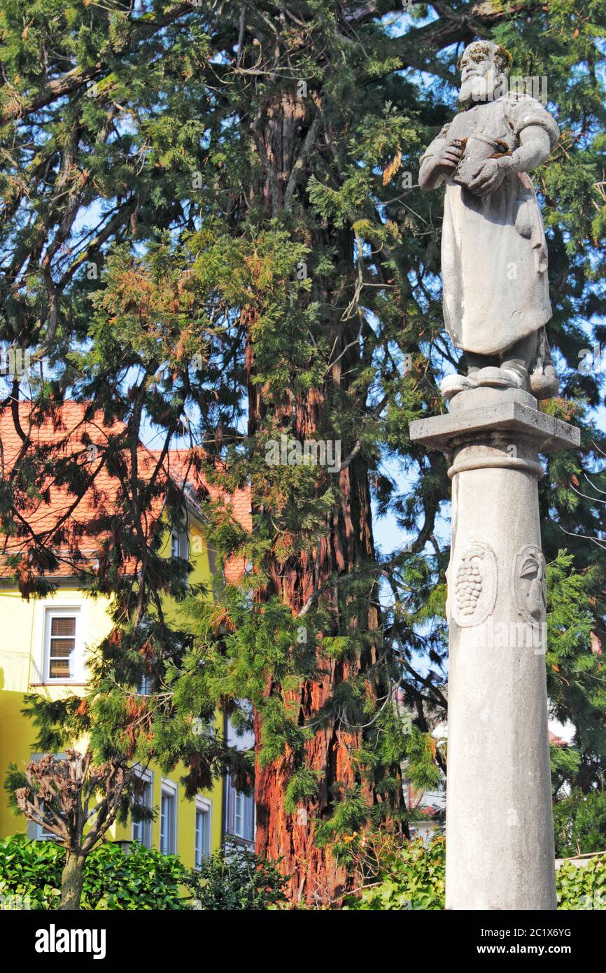 Colonna con albero di sequoia Foto Stock