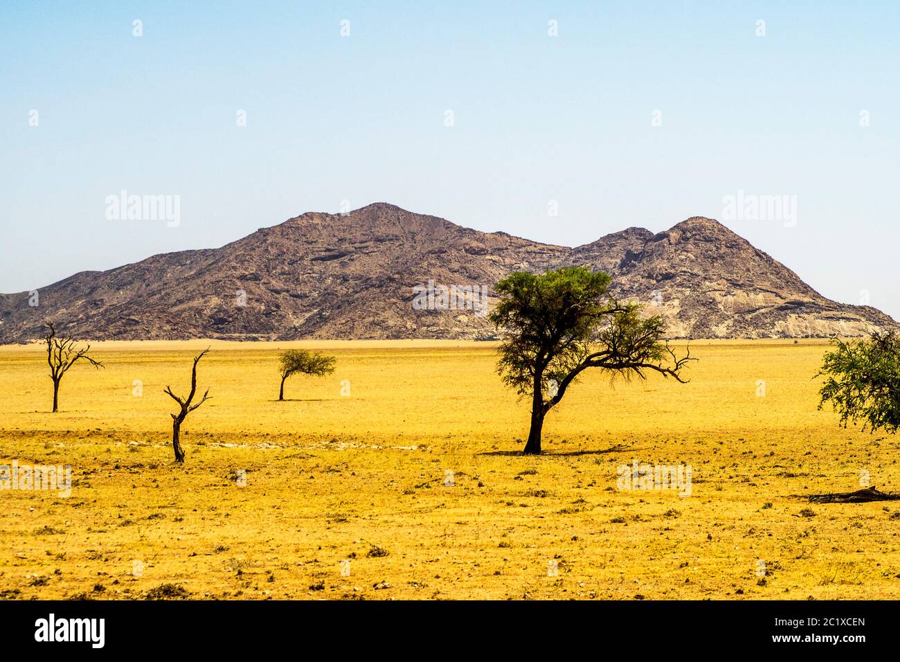 Namibia, Namib Naukluft Park nel Sossusvlei Foto Stock