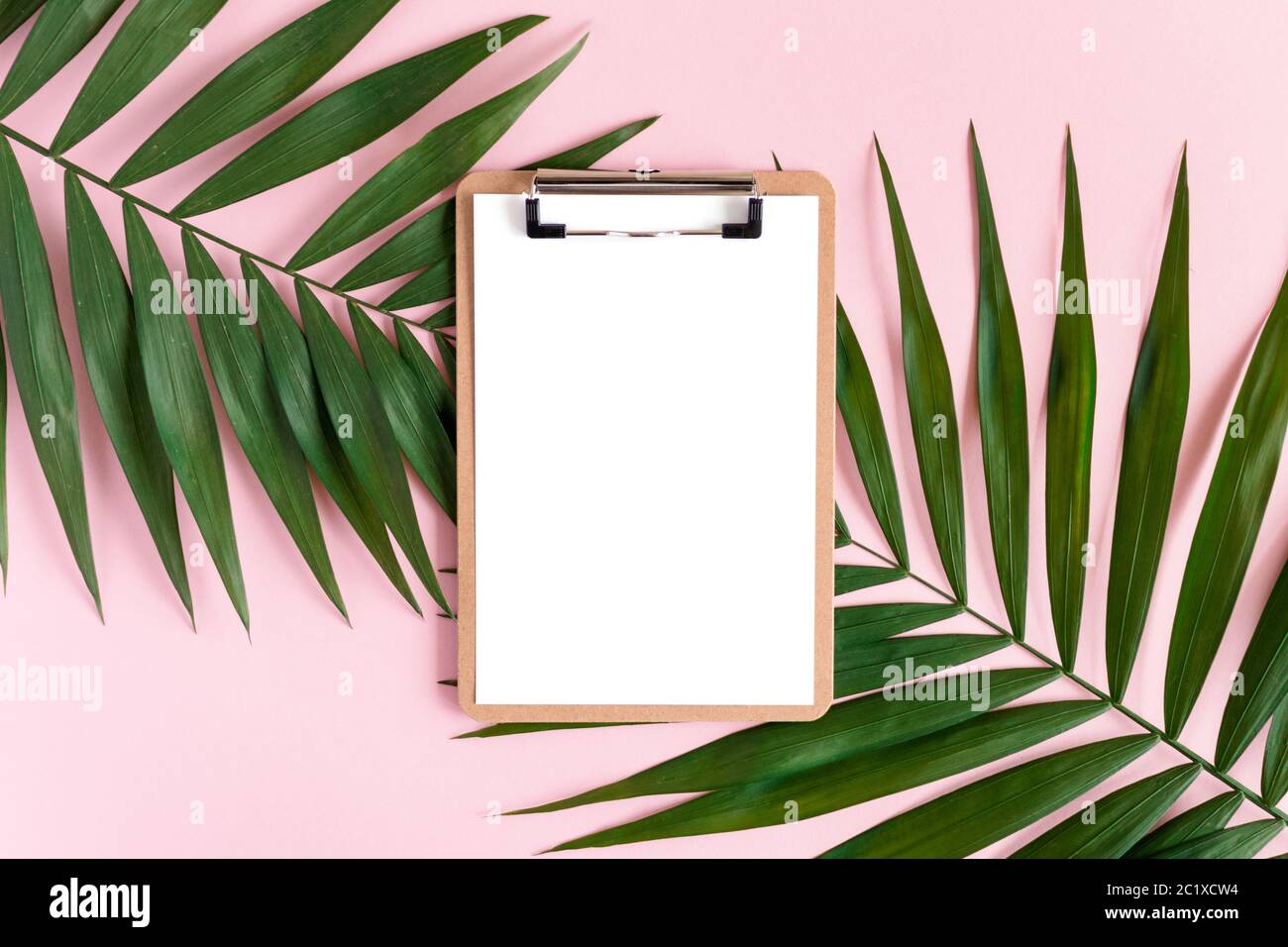 Elegante composizione minimale con appunti e foglie verdi su sfondo rosa pastello. Mockup di illustrazioni con spazio di copia Foto Stock