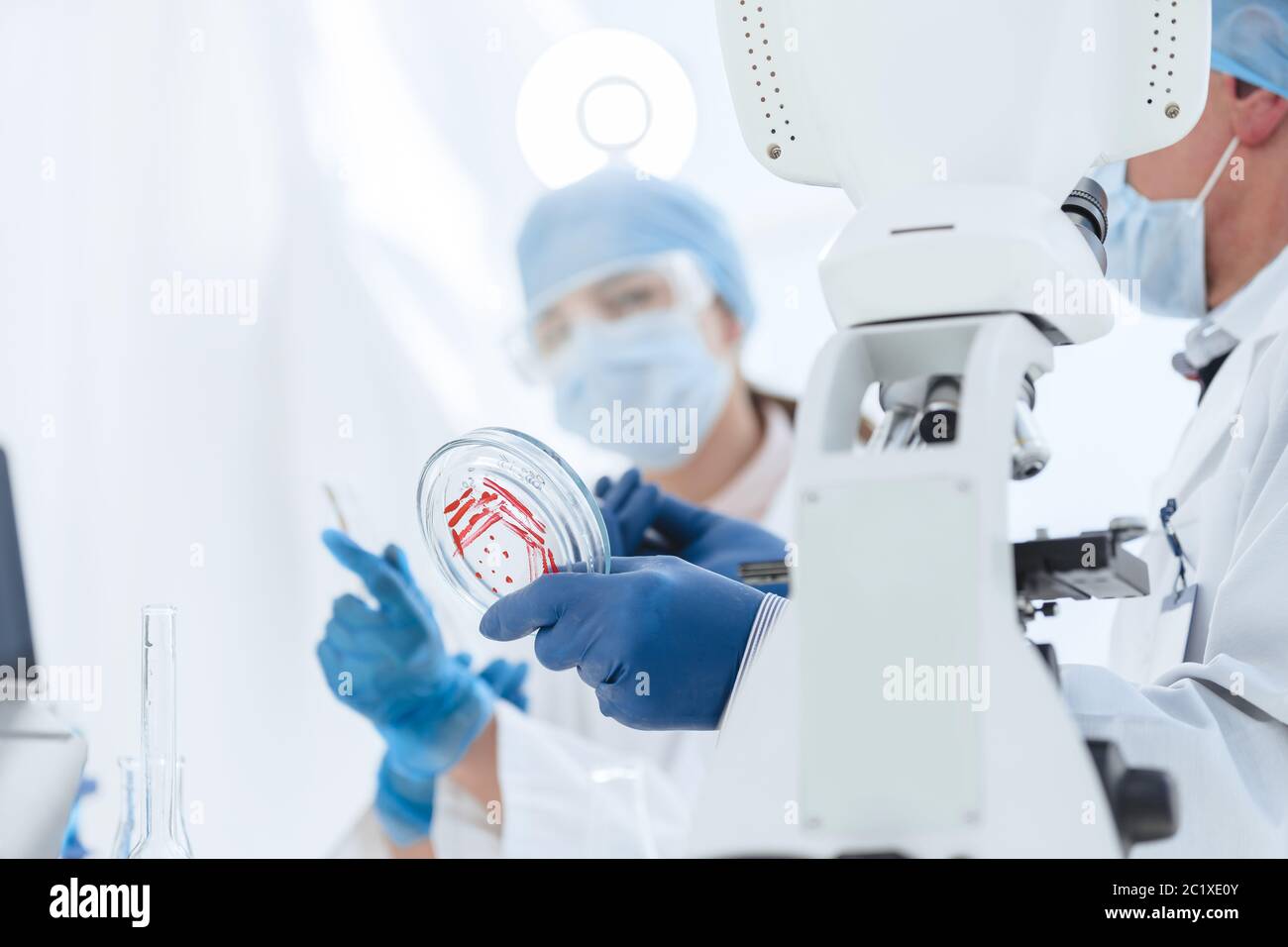 scienziato femminile che conduce ricerche in un laboratorio biologico . Foto Stock