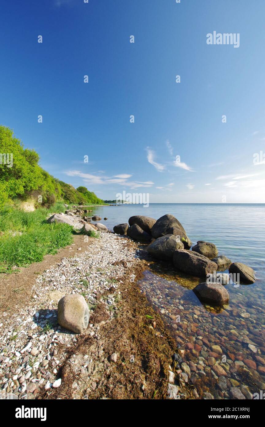 Sulla spiaggia naturale, Neu Reddevitz, Lancken Granitz, Isola di RÃ¼gen, Meclemburgo-Vorpommern, Germania, Europa occidentale Foto Stock