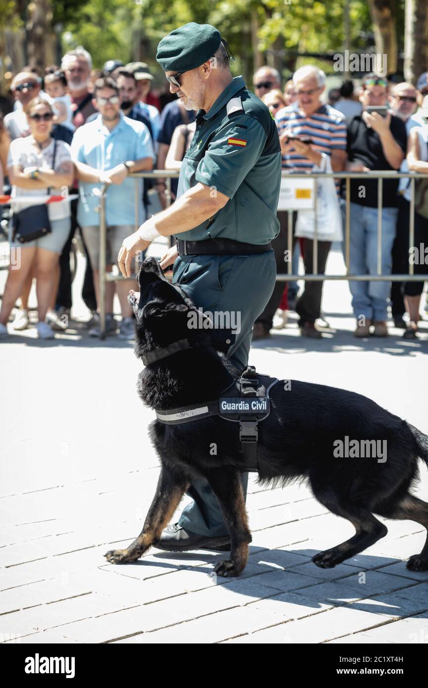 Guardia civile con cane addestrato durante la mostra della giornata delle forze armate spagnole a Siviglia, Spagna. Foto Stock