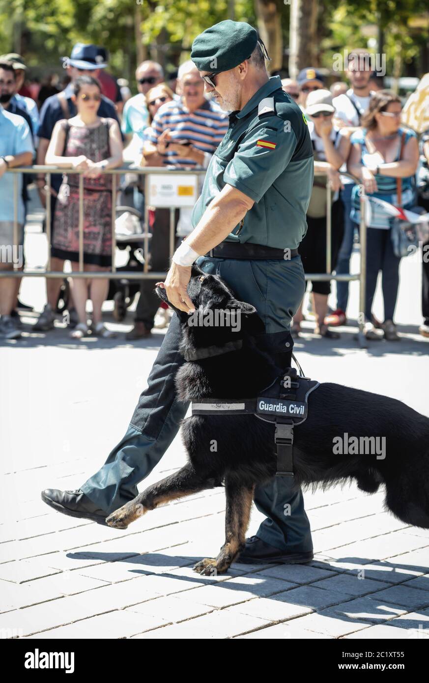 Guardia civile con cane addestrato durante la mostra della giornata delle forze armate spagnole a Siviglia, Spagna. Foto Stock