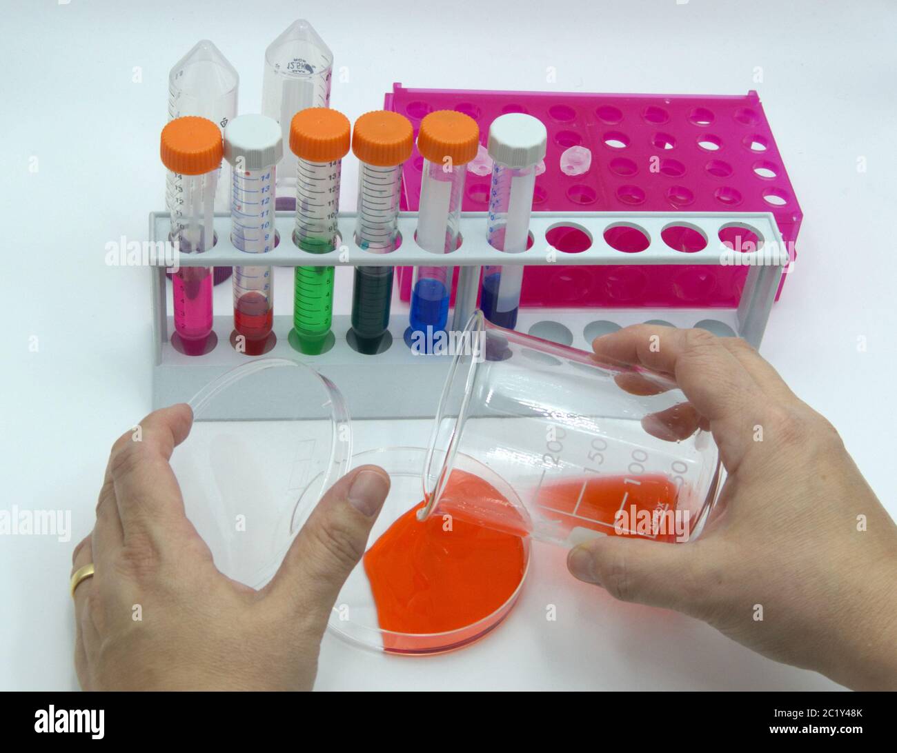 Tecnico di laboratorio conduce esperimenti su sfondo bianco Foto Stock