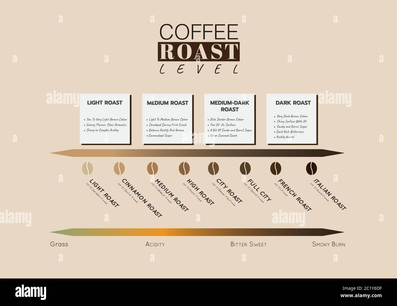 Livello di tostatura del caffè. Livello di acidità e gusto del caffè con temperatura di tostatura e nota di sapore. Immagine grafica vettoriale Illustrazione Vettoriale