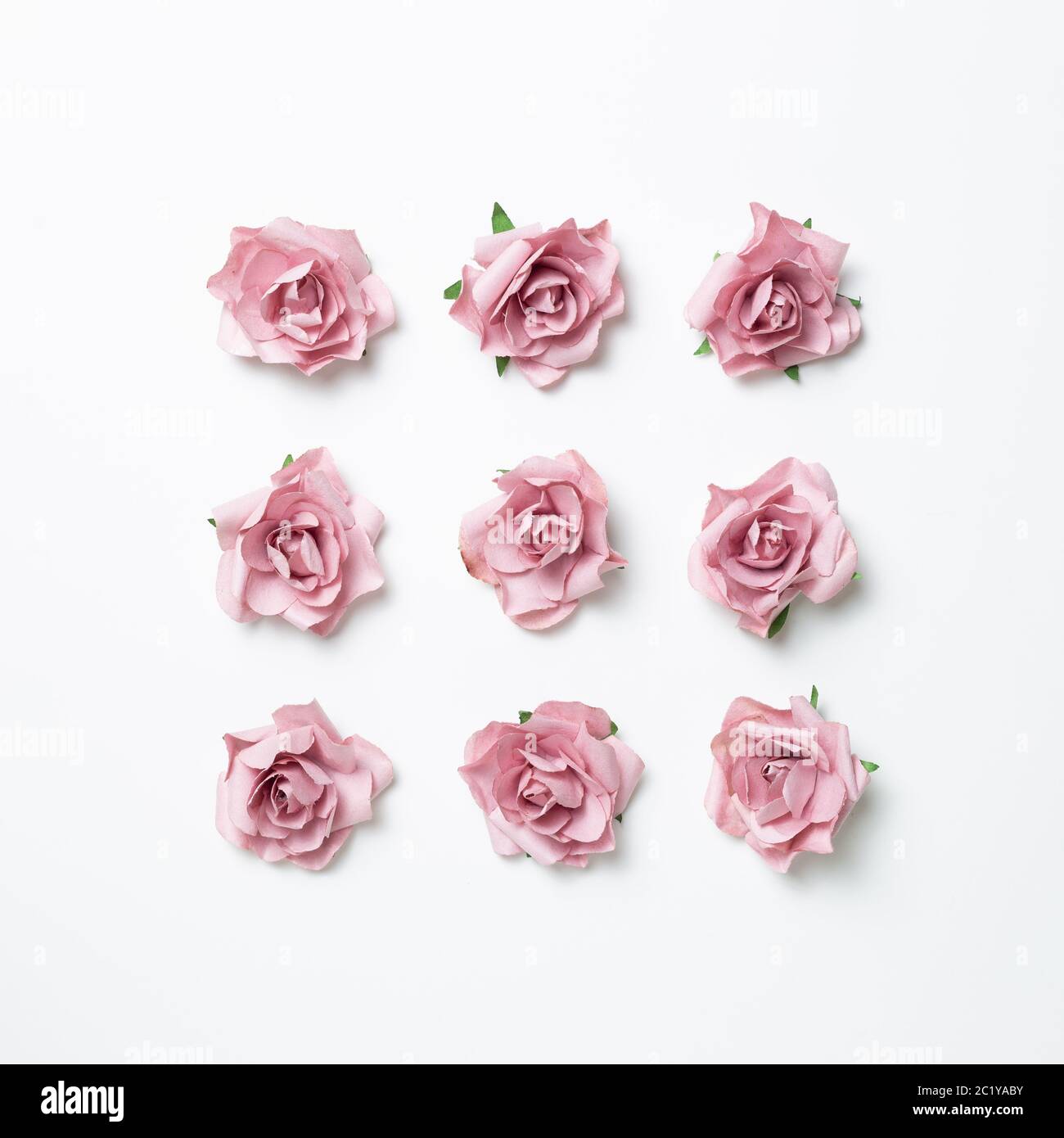 Fiori rosa su sfondo bianco. Composizione floreale, piatto, vista dall'alto Foto Stock