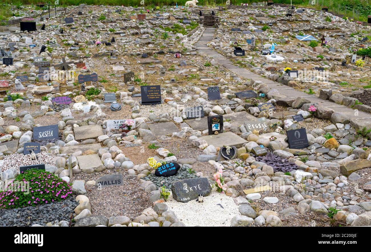 CULLEN CITTÀ MORAY COSTA SCOZIA PET CEMETERY VICINO ALLA RIVA DEL MARE UNA PLETORA DI LAPIDI E FIORI Foto Stock