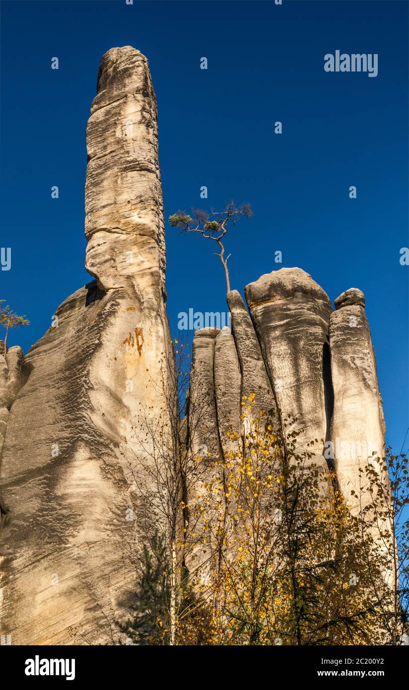 Torri di pietra arenaria a Adršpach le Rocce di Adršpach-Teplice Rocks Riserva Naturale Nazionale, Central Sudetes, Bohemia Repubblica Ceca Foto Stock