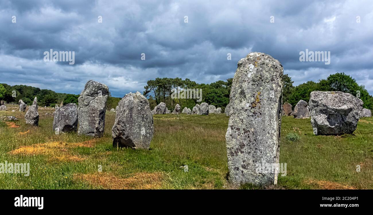 Alignements de Carnac - pietre Carnac a Carnac, Francia Foto Stock