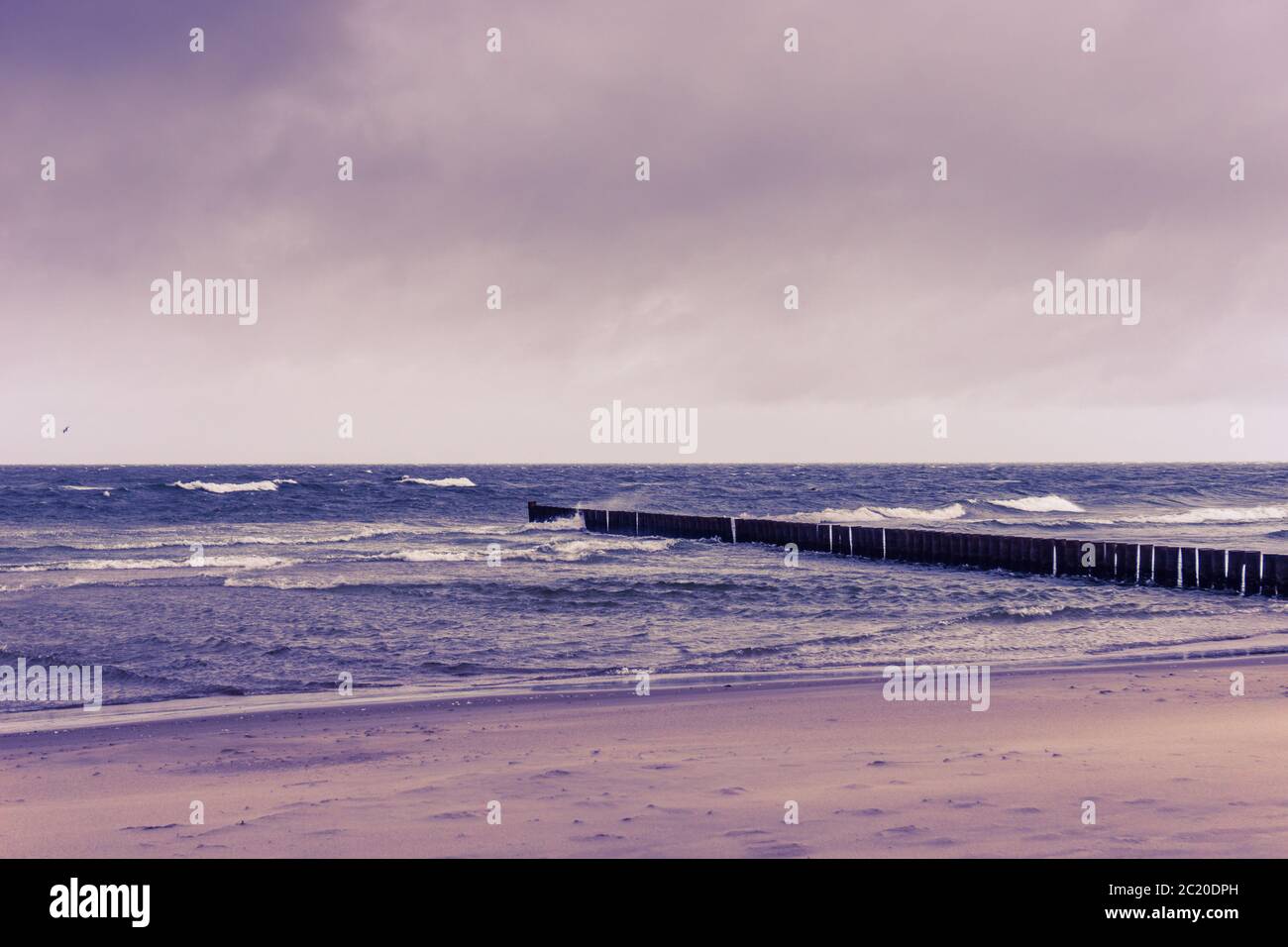 Bella impressione al Seabridge a Zingst in Germania Foto Stock