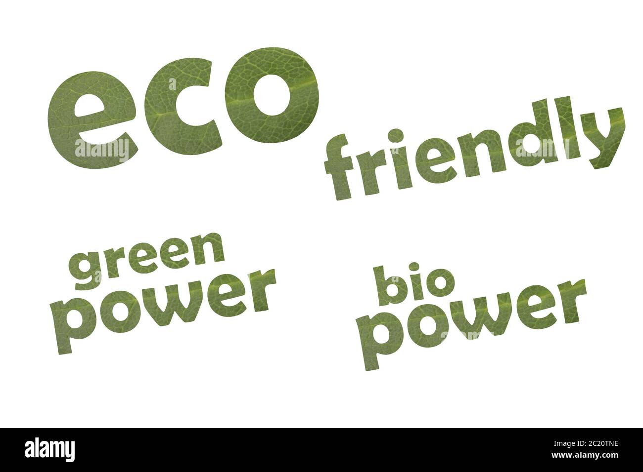 Raccolta di parole chiave eco friendly, energia verde e bio power tagliati da una foglia verde Foto Stock