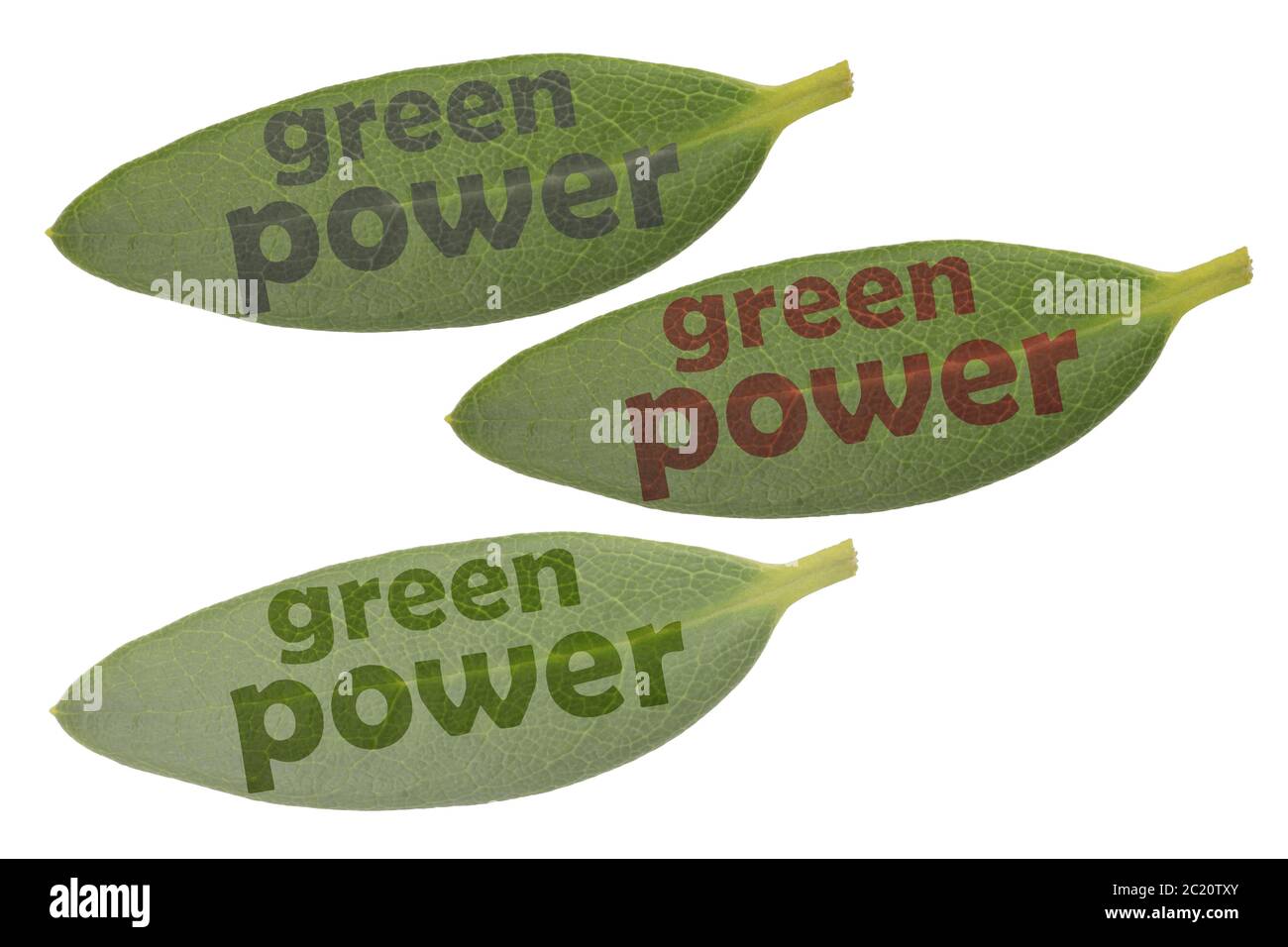 Tre foglie verdi e il testo energia verde in diversi colori e luminosità Foto Stock