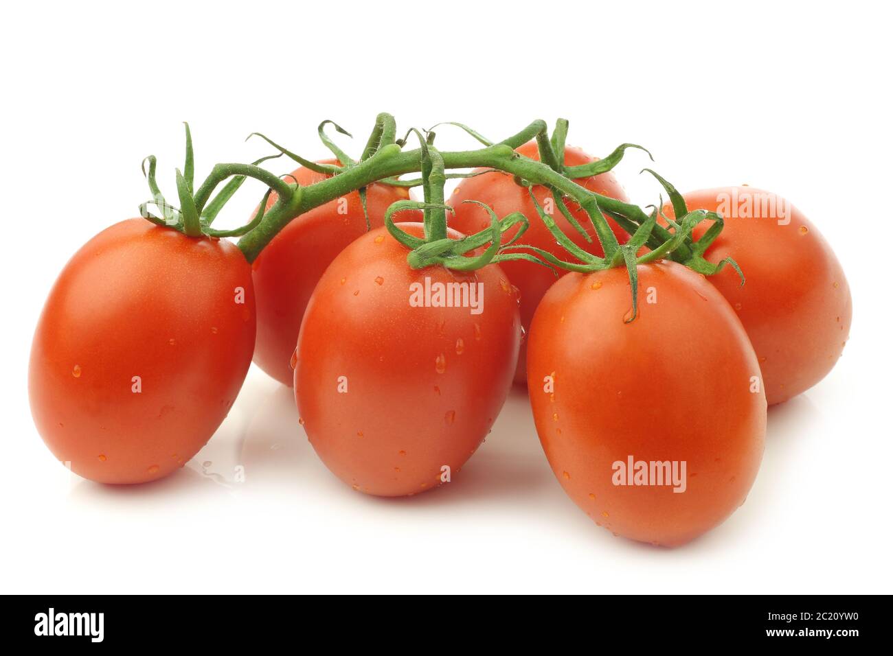 pomodori italiani freschi e colorati e un taglio su sfondo bianco Foto Stock