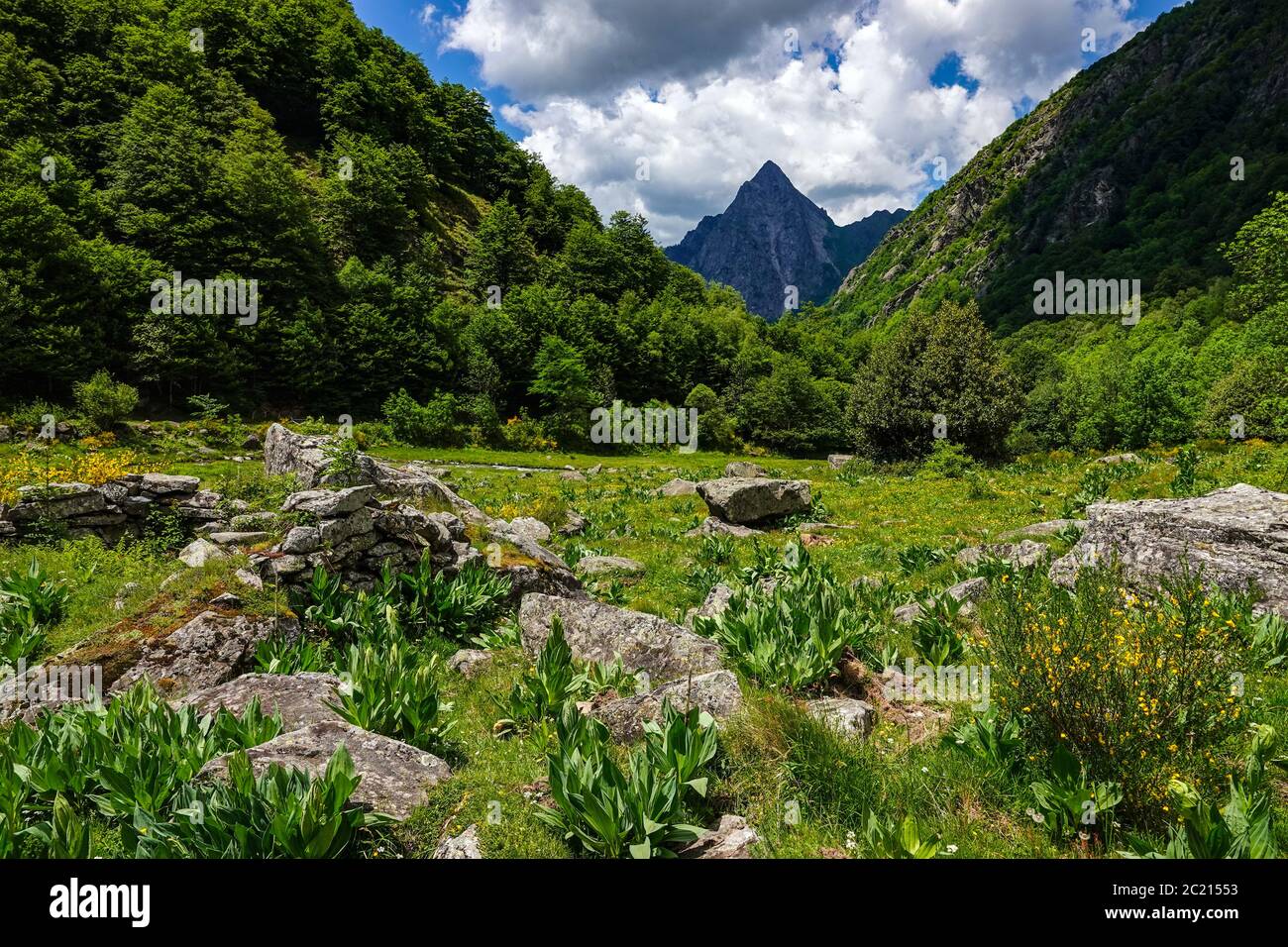 La prominente vetta rocciosa della Dent d'Orlu, Ax les Thermes, Ariege, Pirenei francesi, Francia Foto Stock