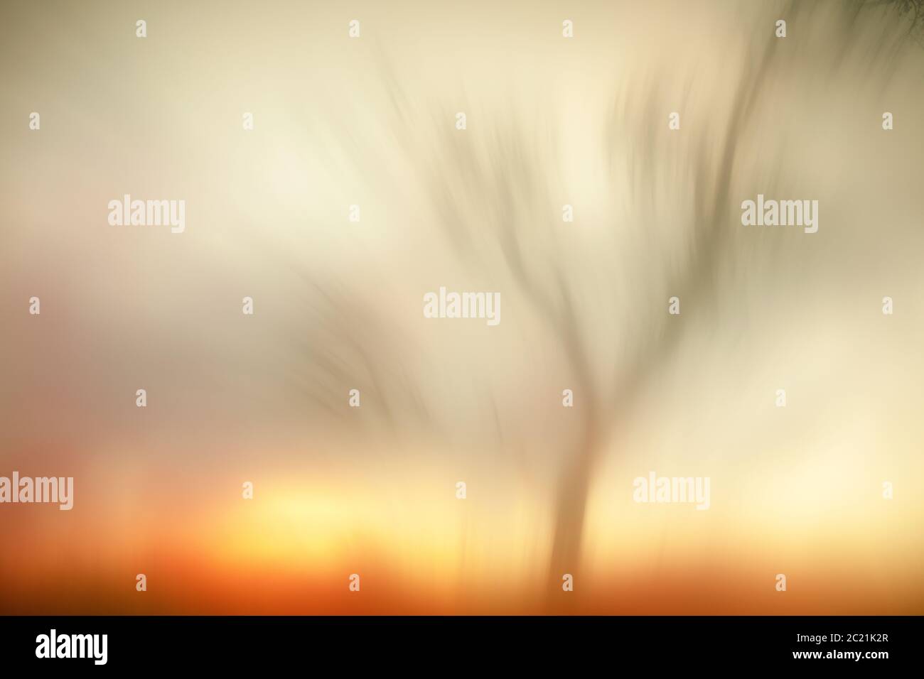 Paesaggio ispirato dai dipinti di William Turner. Albero asciutto retroilluminato. Sierra de Guadarrama. Madrid. Spagna Foto Stock