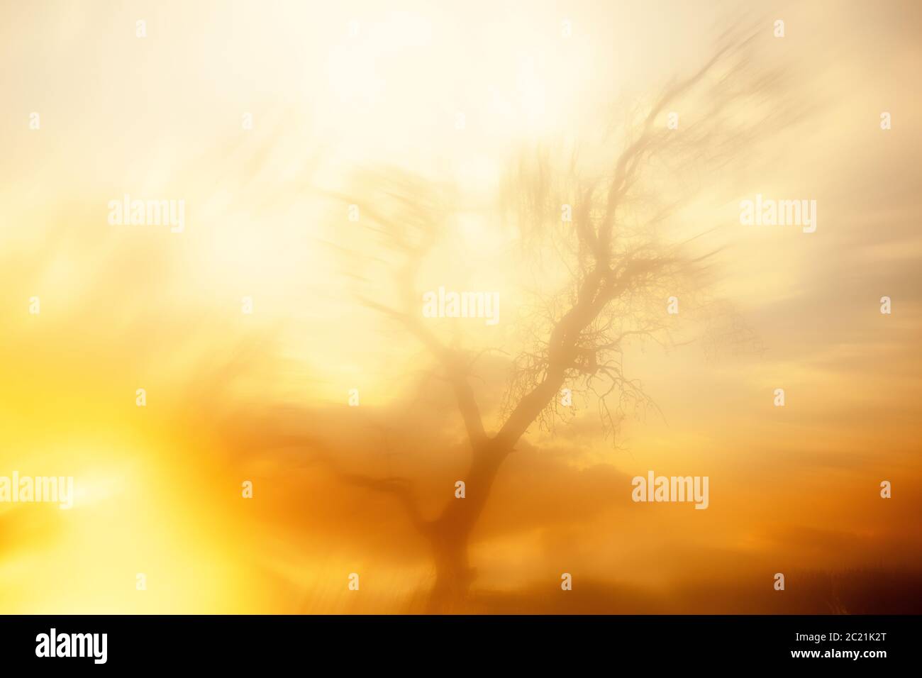 Paesaggio ispirato dai dipinti di William Turner. Albero asciutto retroilluminato. Sierra de Guadarrama. Madrid. Spagna Foto Stock