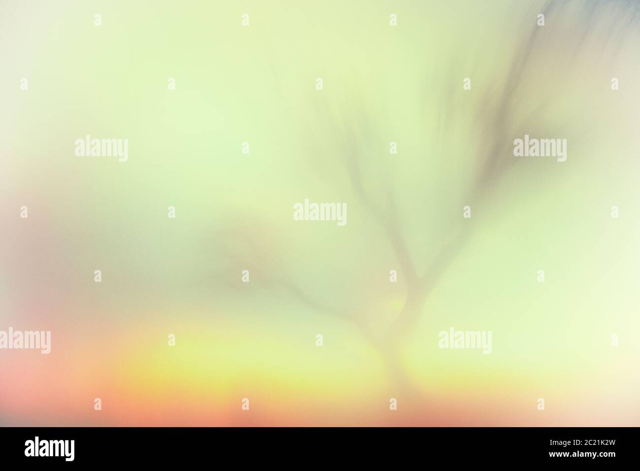 Paesaggio ispirato dai dipinti di William Turner. Albero asciutto retroilluminato. Sierra de Guadarrama. Madrid. Spagna Foto Stock