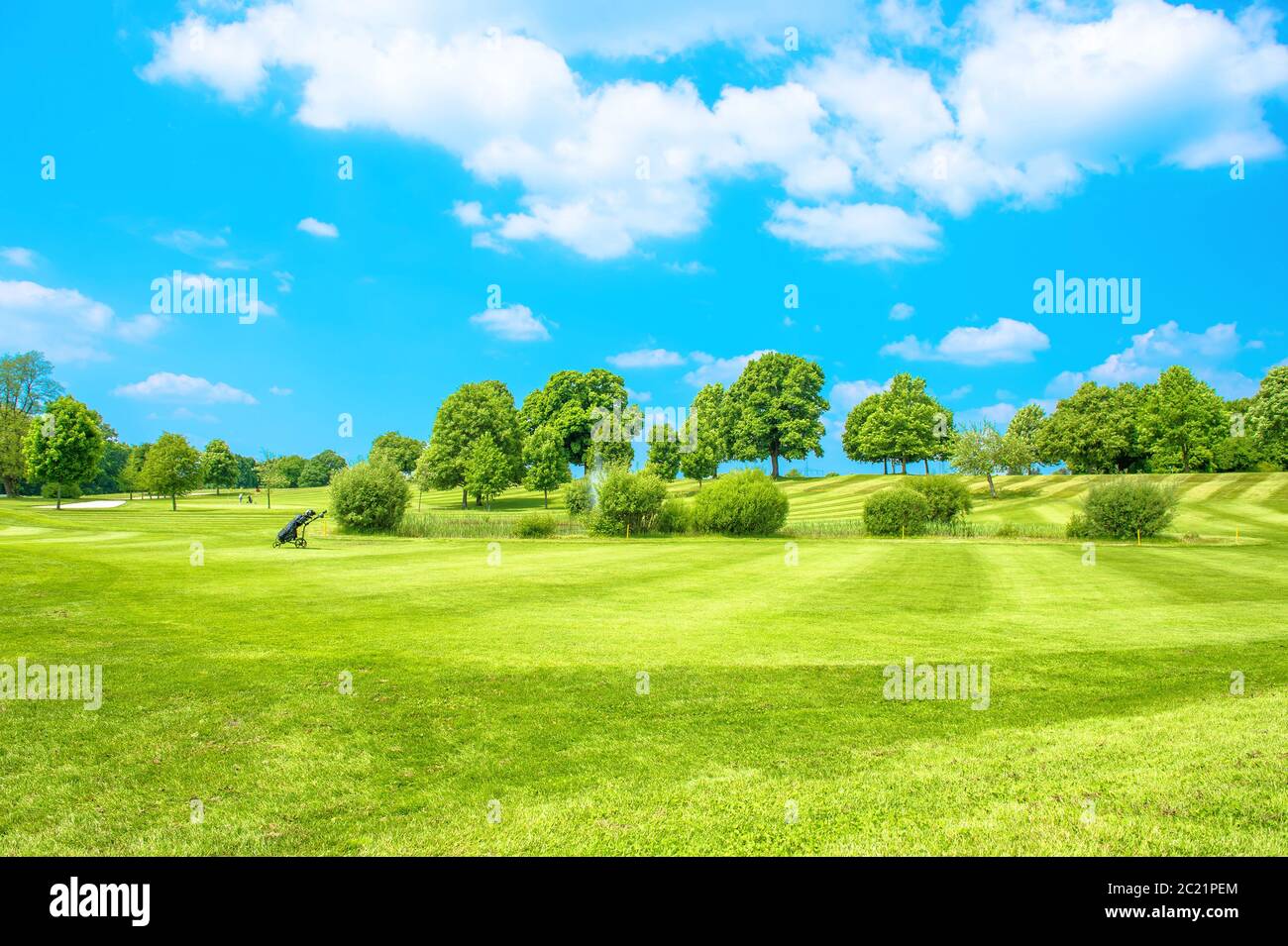 Campo verde con erba fresca, alberi e cielo blu nuvoloso. Campo da golf Foto Stock