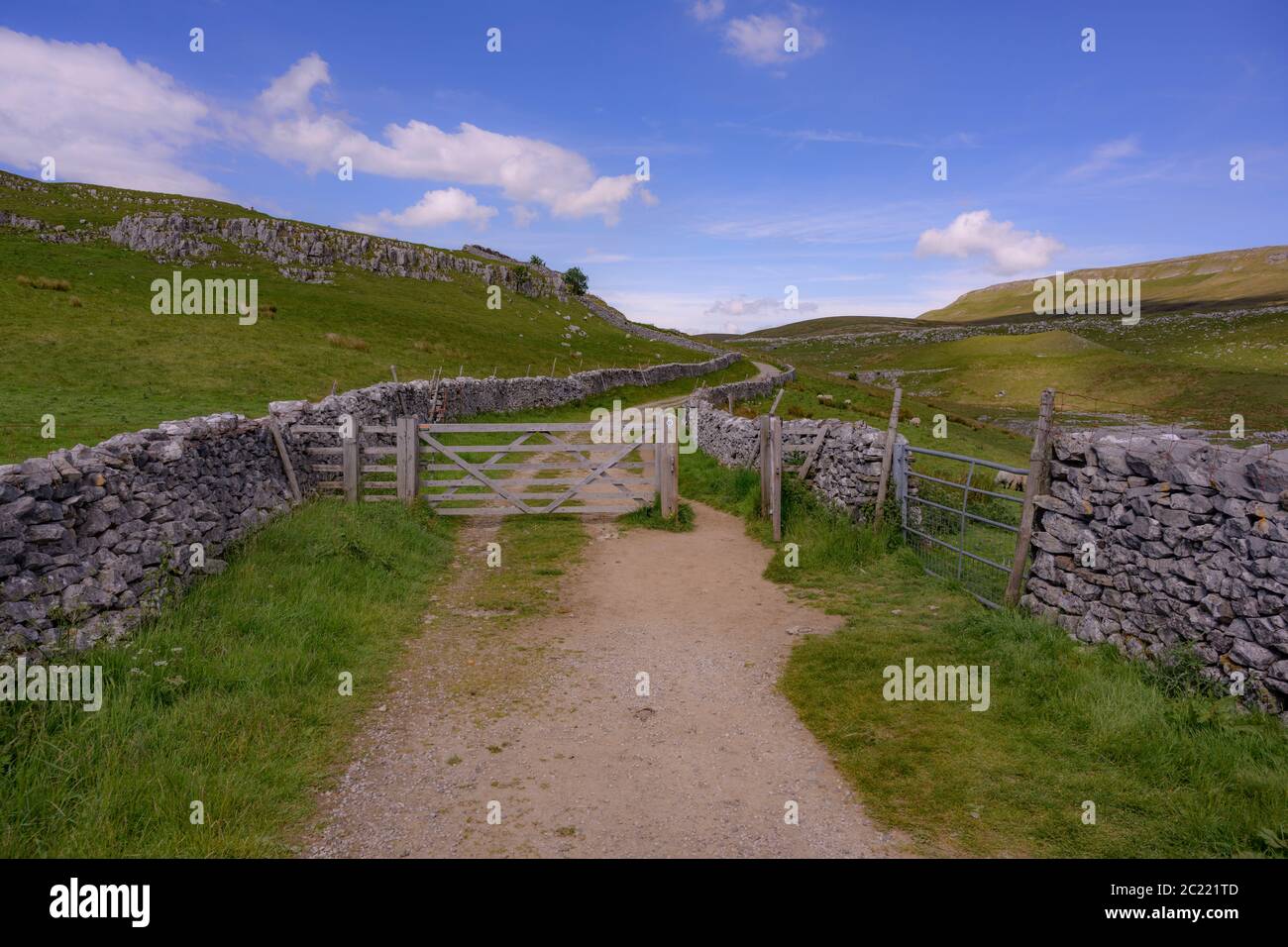 Farm Gate nel Parco Nazionale delle Valli dello Yorkshire Foto Stock