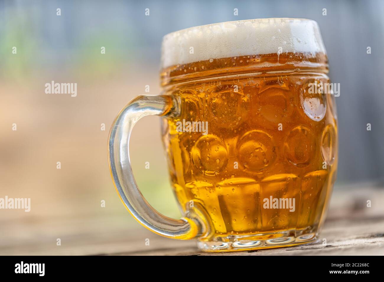 Pinta di lager in una tazza - primo piano Foto Stock