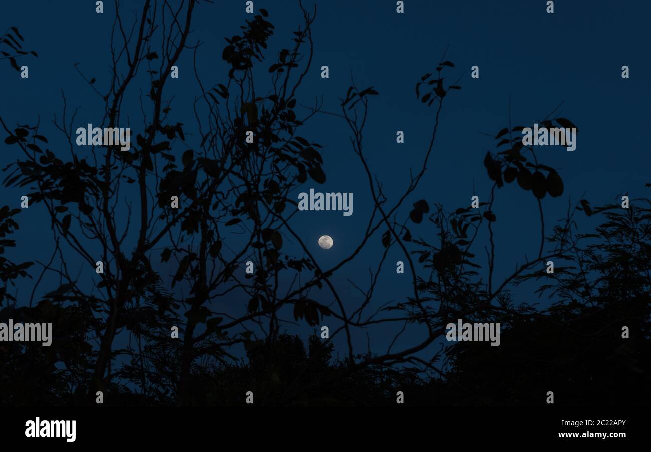 Luna Foto Stock