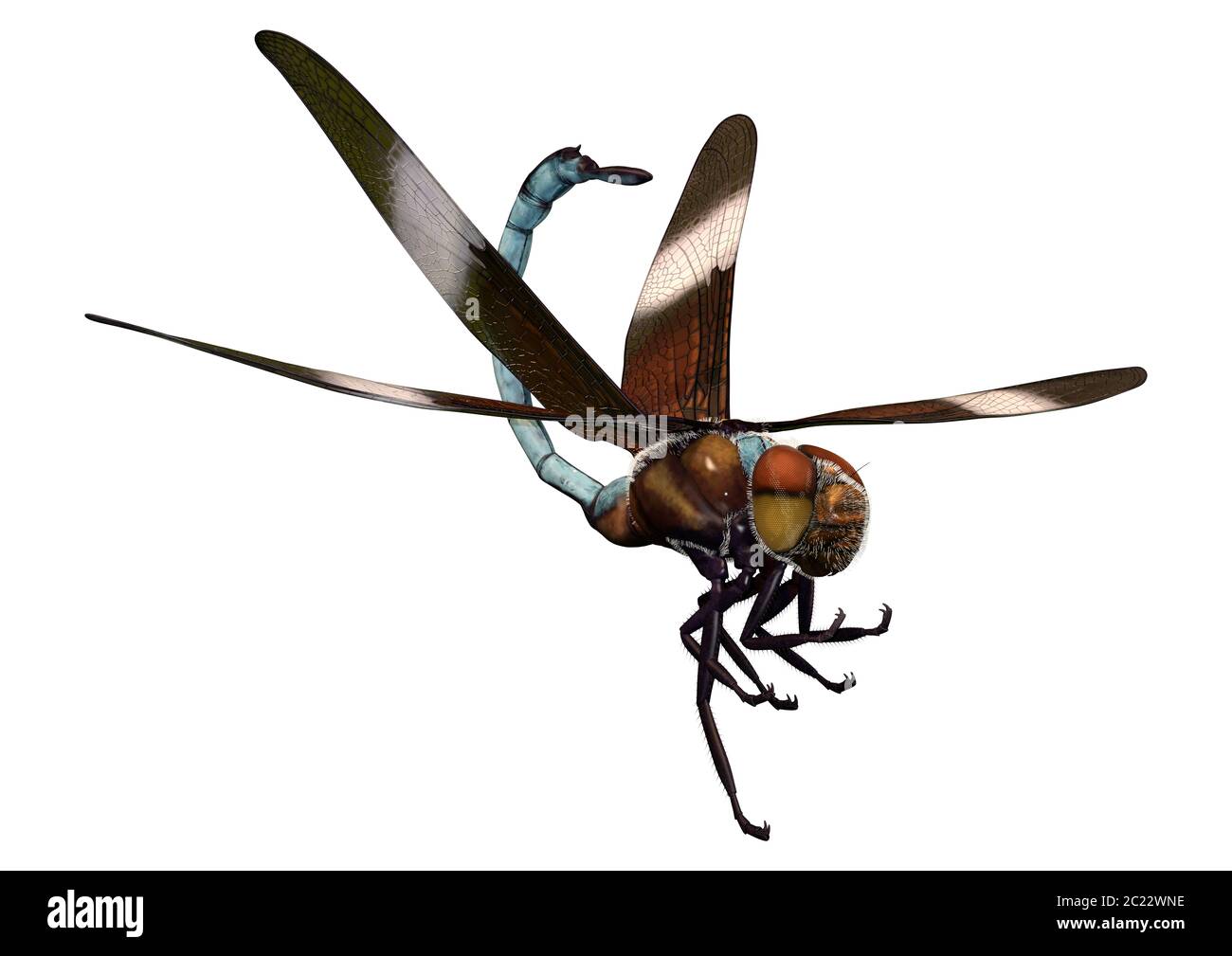 3D rendering di una vedova Skimmer o a forma di libellula Libellula luctuosa isolati su sfondo bianco Foto Stock