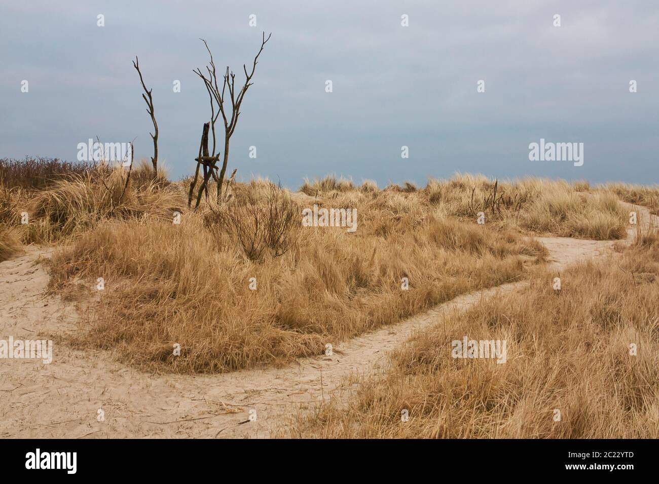 Passeggiate nel Parco Nazionale del Mare di Wadden Foto Stock