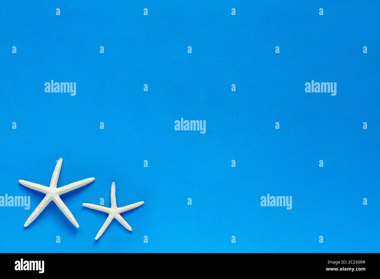 Barretta bianca Starfish su sfondo blu. Stelle e conchiglie marine. Mare, vacanza, atmosfera di vacanza. Vista dall'alto. Disposizione piatta. Spazio per testo. Foto Stock