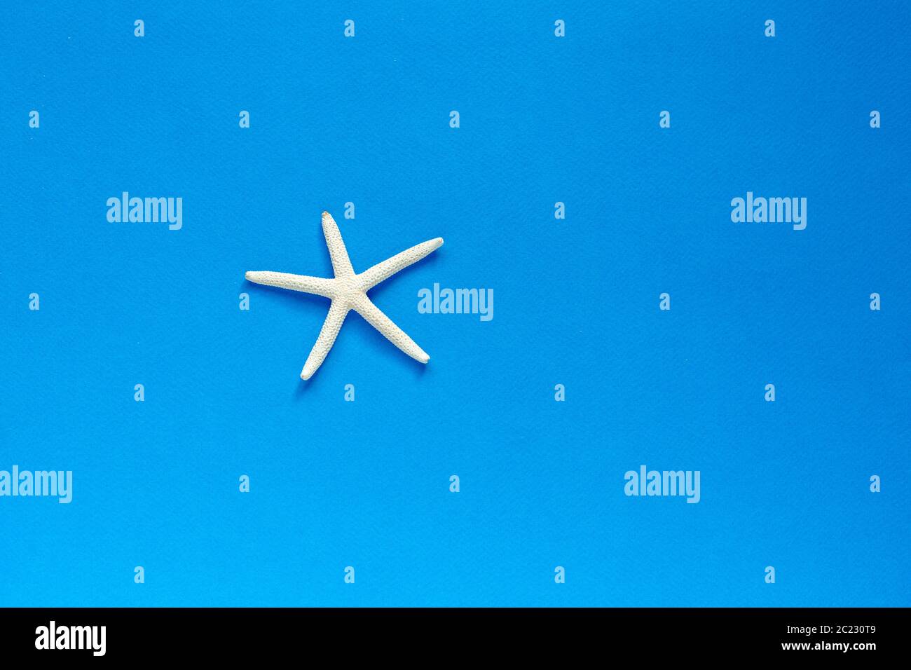 Barretta bianca Starfish su sfondo blu. Stelle e conchiglie marine. Mare, vacanza, atmosfera di vacanza. Vista dall'alto. Disposizione piatta. Spazio per testo. Foto Stock