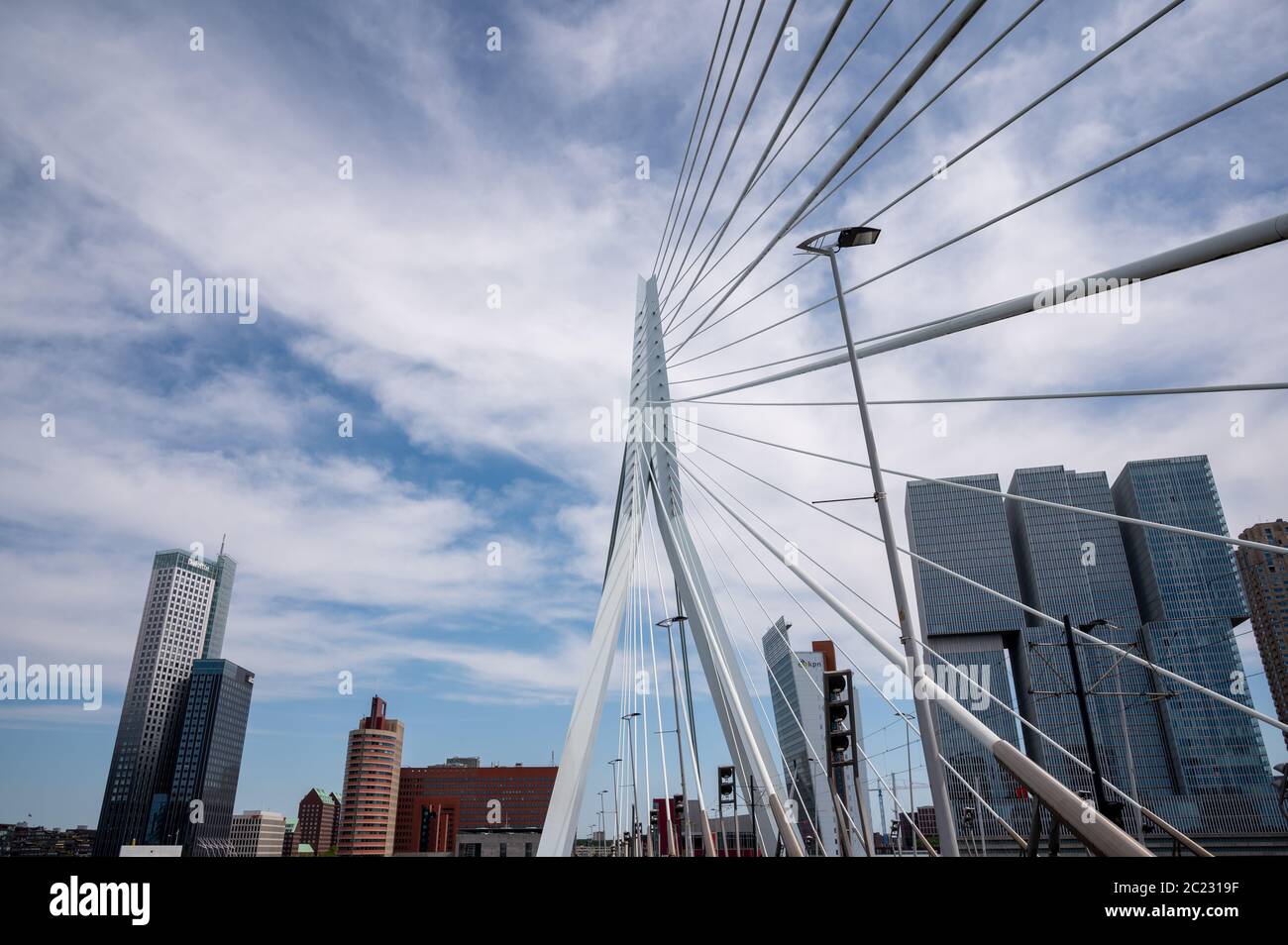 Ponte Erasmus sul Nieuwe Maas a Rotterdam, Paesi Bassi Foto Stock