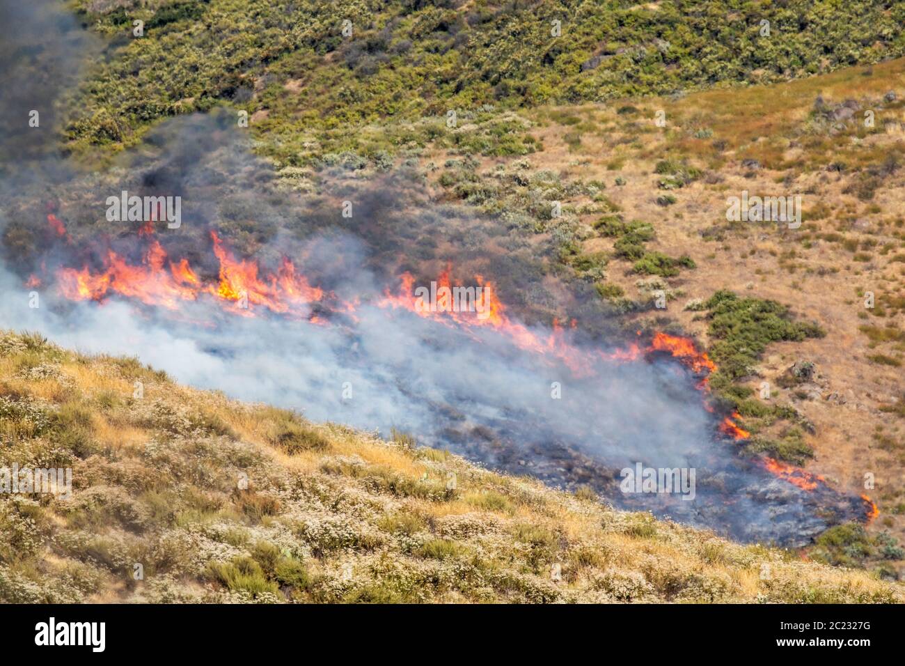 Spazzola asciutta fuoco selvaggio che sparge rapidamente. Foto Stock