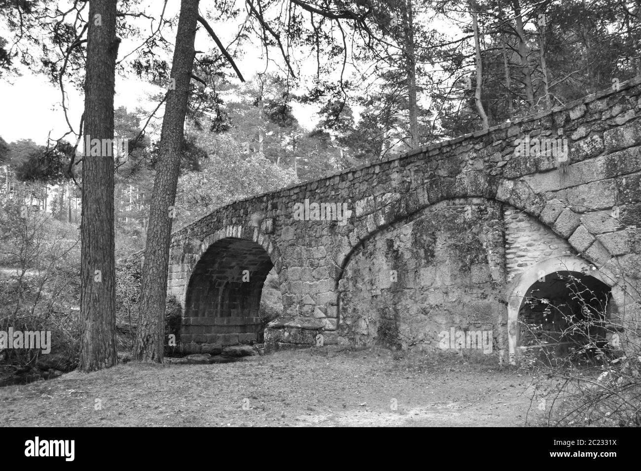 Ponte di pietra su bianco e nero Foto Stock