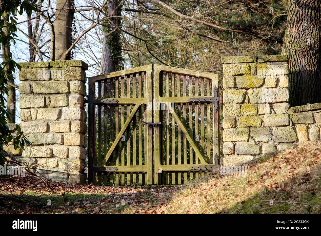 Particolare di una porta cimitero in legno Foto Stock