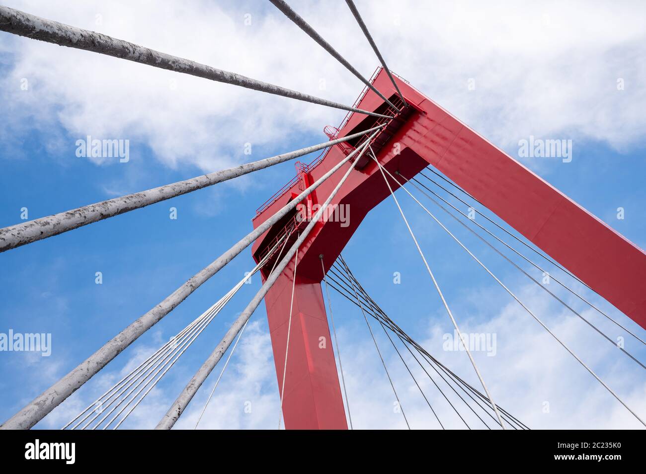 Willemsbrug (ponte Willems) è un moderno ponte sospeso che attraversa il Nieuwe Maas a Rotterdam, Paesi Bassi Foto Stock