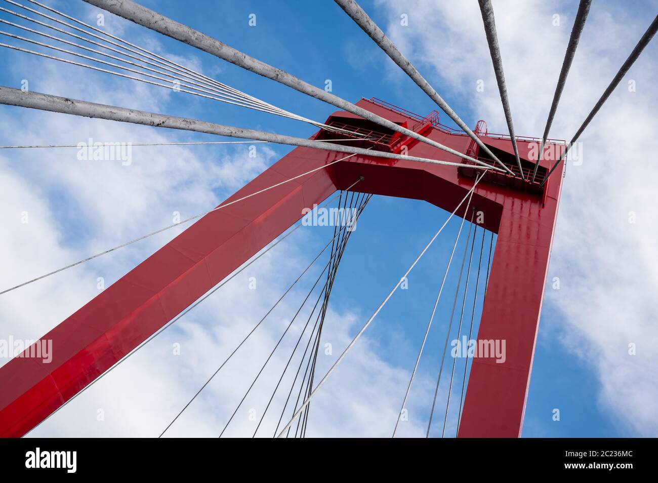 Willemsbrug (ponte Willems) è un moderno ponte sospeso che attraversa il Nieuwe Maas a Rotterdam, Paesi Bassi Foto Stock