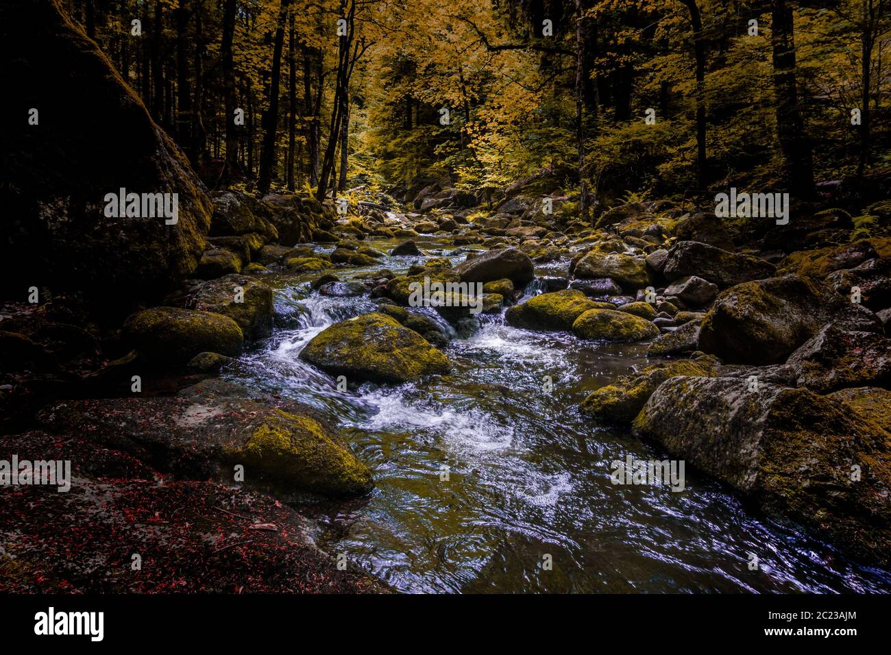 Buchberger Leite, escursioni, ruscello, cascata e pareti rocciose Foto Stock