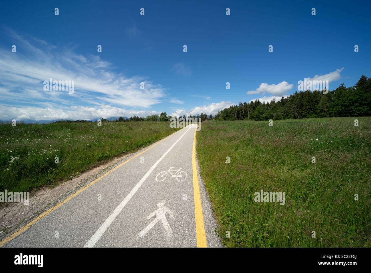 Percorso combinato in bicicletta e pedonale tra prati alpini e boschi in Val di non, Alto Adige. Italia; pista ciclabile in natura Foto Stock