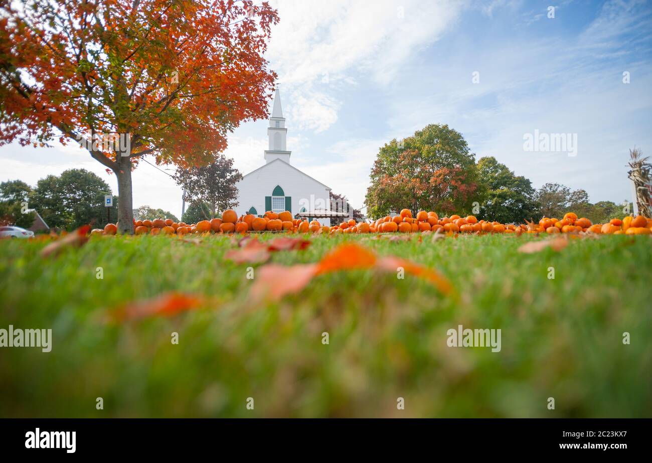 Zucca Patch vendita zucca fuori della chiesa tradizionale ehite in Cooper Parish New England. Foto Stock