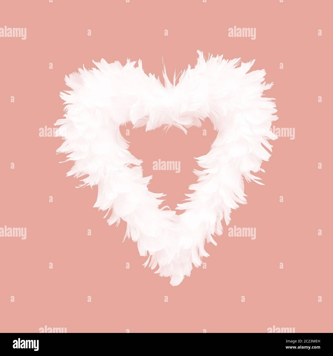 Cuore di piume bianco su Corallo vivente Foto Stock