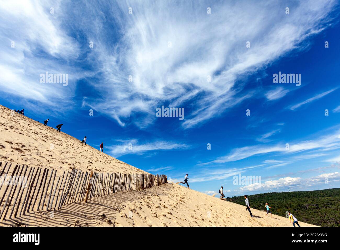 Dune di Pilat, la teste-de-Buch, Arcachon, Gironda, Aquitania, Francia Foto Stock