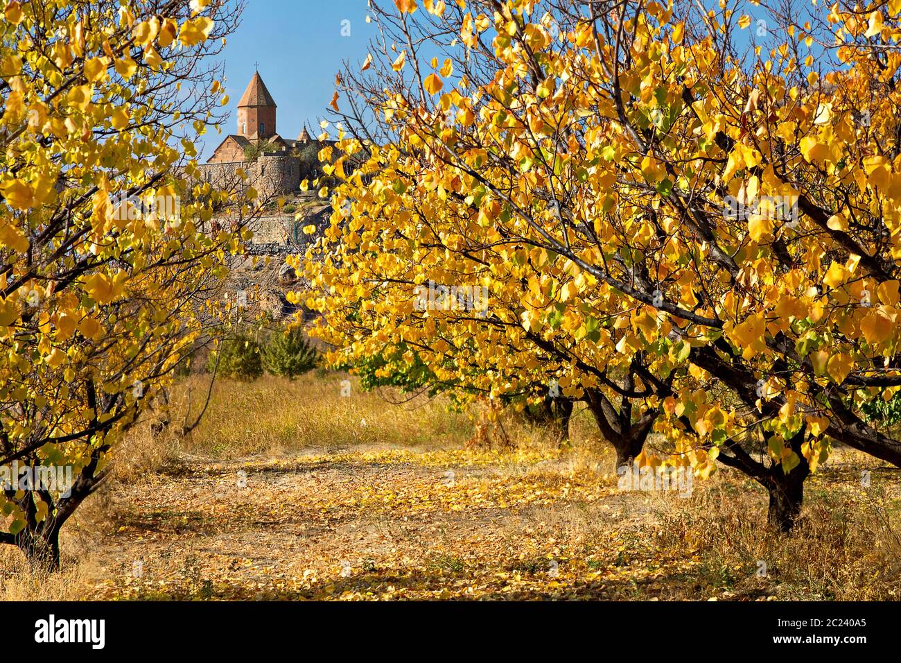 Khor Virap Monastero attraverso foglie con colori autunnali, Armenia Foto Stock