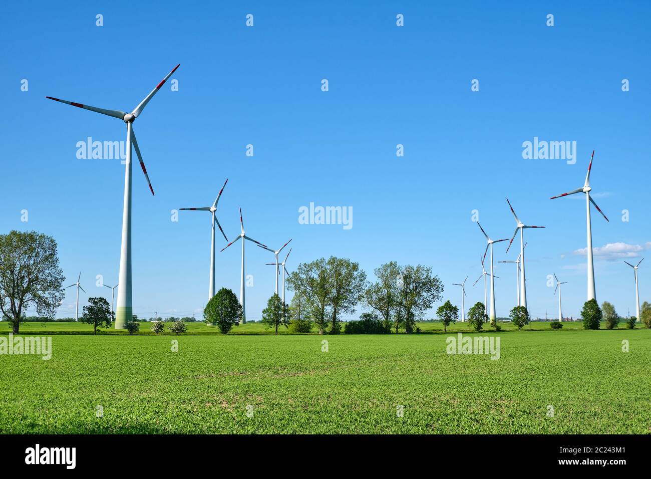 Le turbine eoliche e verdi campi visto in Germania Foto Stock